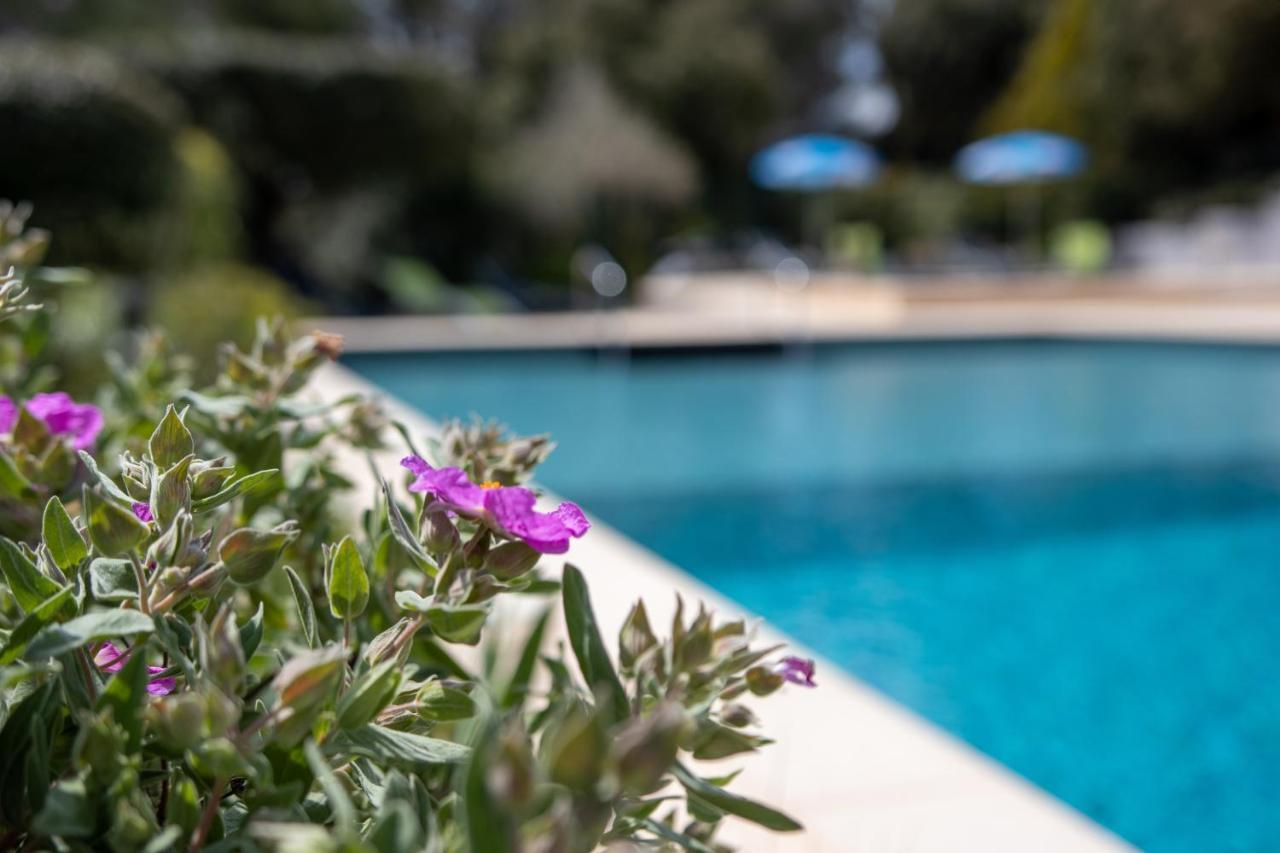 Les Arbousiers Village Hotel Provencal La Roquebrussanne Zewnętrze zdjęcie